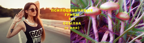 хмурый Кодинск