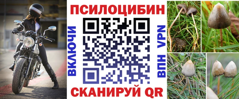 Галлюциногенные грибы GOLDEN TEACHER  Купить где  Верхотурье 